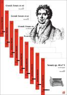 9 Sonates pour piano de la maturité 