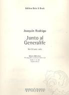 Junto al generalife 
