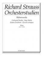 Orchesterstudien aus seinen Bühnenwerken 2 für Horn Standard