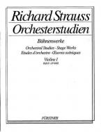 Orchesterstudien aus seinen Bühnenwerken: Violine I 2 