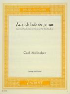 Hamlets erster und zweiter Monolog 