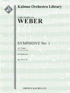 Symphony No. 1 in C op. 19/J. 50 