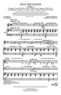 Into The Woods (Medley) Download