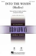 Into The Woods (Medley) Download