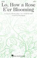 Lo, How A Rose E'er Blooming Download