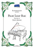 Palm Leaf Rag 