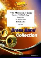 Wild Mountain Thyme Standard