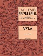 Orchester-Probespiel Viola 