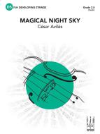 Magical Night Sky Standard