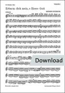 Erbarm dich mein, o Herre Gott 