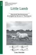 Little Lamb 