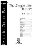 The Silence after Thunder 