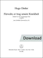 Führwahr er trug unsere Krankheit Download