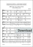 2 Motetten SWV 69/70 Download