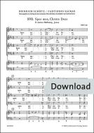 2 Motetten SWV 69/70 Download