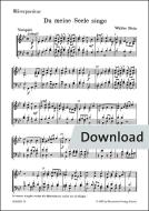 Du meine Seele, singe Download