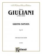 Grand Sonata For Violin And Guitar Op. 25 Standard