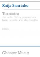 Terrestre 