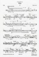 PresPres  for Cello and Electronics 