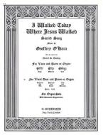 I Walked Today Where Jesus Walked 