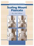 Scaling Mount Pizzicato Standard