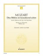 Dies Bildnis ist bezaubernd schön Standard