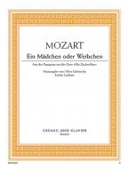 Ein Mädchen oder Weibchen Standard