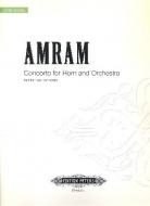 Konzert für Horn und Orchester 