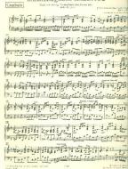 Brandenburgisches Konzert Nr. 2 F-Dur BWV 1047 