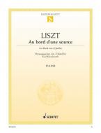 Au bord d'une source Standard