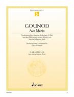 Ave Maria Standard