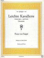 Leichte Kavallerie Standard