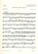 Andante und Rondo ungarese Standard