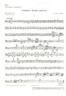 Andante und Rondo ungarese Standard