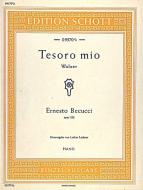Tesoro mio D-Dur op. 228 Standard