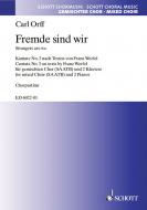 Fremde sind wir Standard