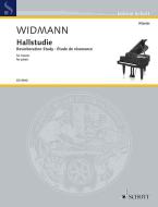 Hallstudie Standard
