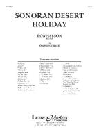 Sonoran Desert Holiday 