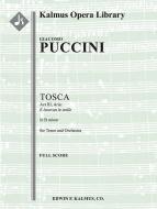 Tosca: Act III, Aria: E lucevan le stelle (tenor) 