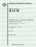 Sheep May Safely Graze (Schafe konnen sicher weiden) 
