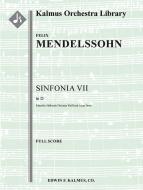 Sinfonia No. 7: String Symphony in D minor 