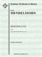 Sinfonia No. 7: String Symphony in D minor 