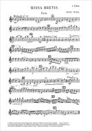 Missa brevis 