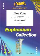Blue Zone Standard
