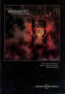 Adiemus 2 - Cantata Mundi 