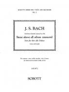 Stein, der über alle Schätze 