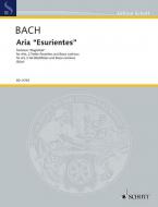 Esurientes Implevit Bonis BWV 243 Standard
