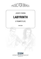 Labyrinth Download