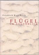 Flügel im Augenblick 