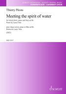 Meeting the spirit of water Standard